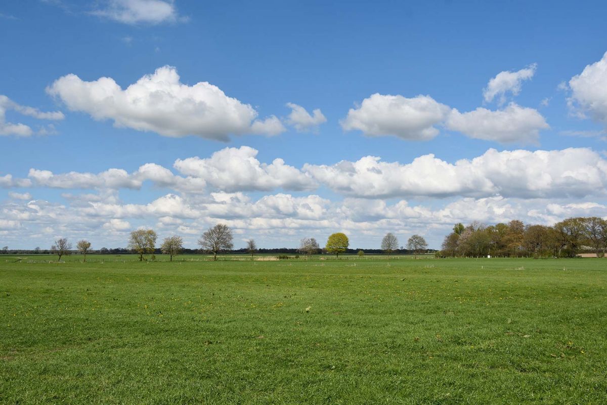 Produkte aus der Region